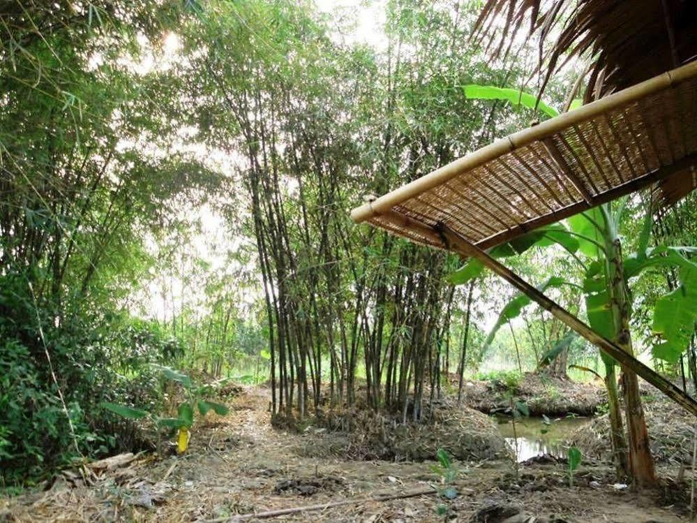Green Village Homestay 껀터 외부 사진