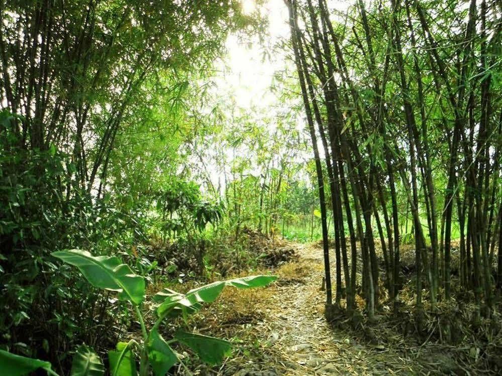 Green Village Homestay 껀터 외부 사진